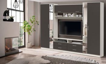 ШМЦ Вена  91.01 с зеркалом в Мирном - mebel154.com