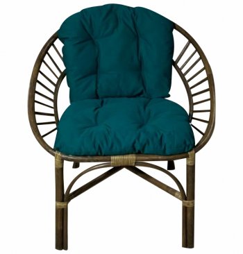 Кресло RJG-Princess (Ротанг №6, ткань JPN DRILL 034) в Мирном - mebel154.com
