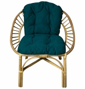 Кресло RJG-Princess (Ротанг №4, ткань JPN DRILL 034) в Мирном - mebel154.com