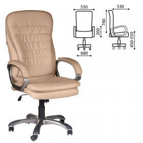 Кресло офисное BRABIX Omega EX-589 в Мирном - mebel154.com