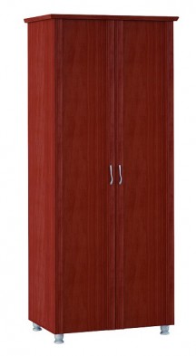 Шкаф для одежды 2-х дверный 3 Элегия в Мирном - mebel154.com