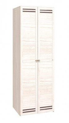 Шкаф для одежды 2-х дверный 54 Бриз в Мирном - mebel154.com