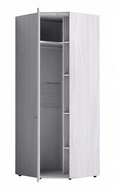Шкаф для одежды угловой 56-2 Paola в Мирном - mebel154.com