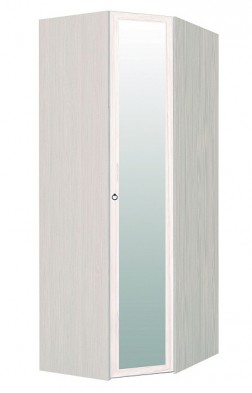 Шкаф для одежды угловой с зеркалом 56-2 Марсель в Мирном - mebel154.com