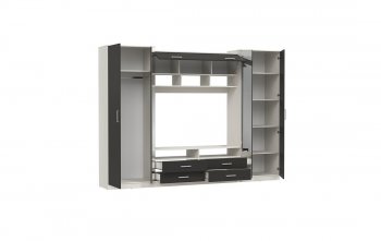 ШМЦ Вена  91.01 с зеркалом в Мирном - mebel154.com